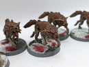 Warhammer 40k: Space Marines Space Wolves Fenrisian Wolves (AJ014)
