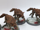 Warhammer 40k: Space Marines Space Wolves Fenrisian Wolves (AJ014)