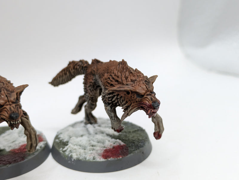 Warhammer 40k: Space Marines Space Wolves Fenrisian Wolves (AJ014)