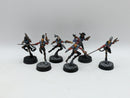 Warhammer 40k: Aeldari Harlequins Troupe (AP013)