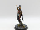 Warhammer 40k: Aeldari Harlequins Converted Solitaire/Troupe Master (AZ190)