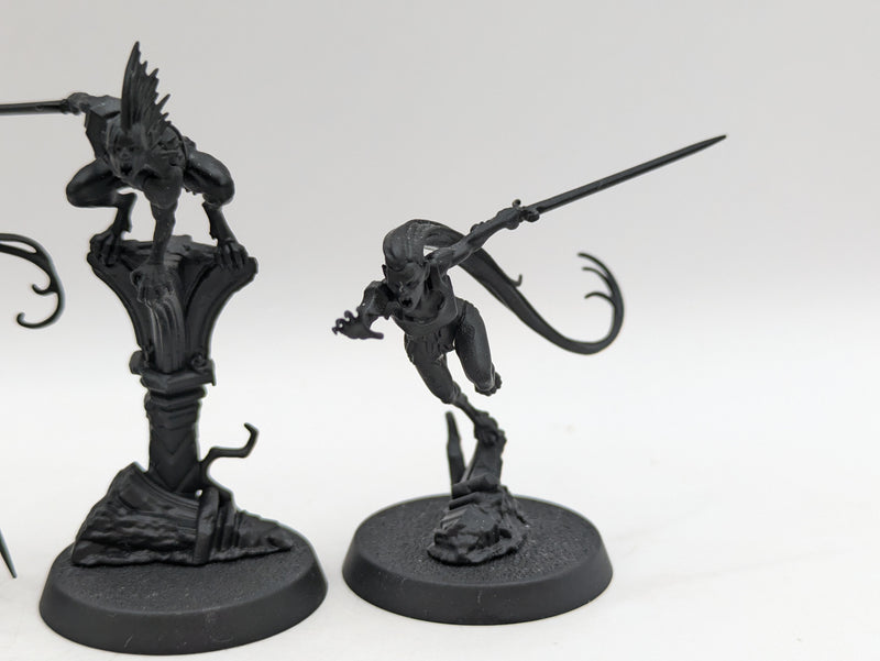 Warhammer Age of Sigmar: Soulblight Gravelords Kritza and Vyrkos Blood Born (AJ066)