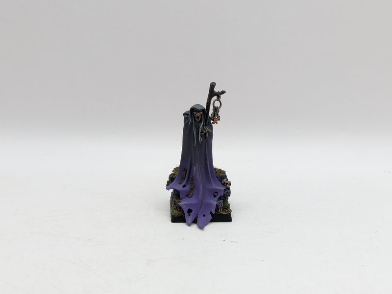 Warhammer The Old World: Vampire Counts Necromancer - Well Painted (BC081)