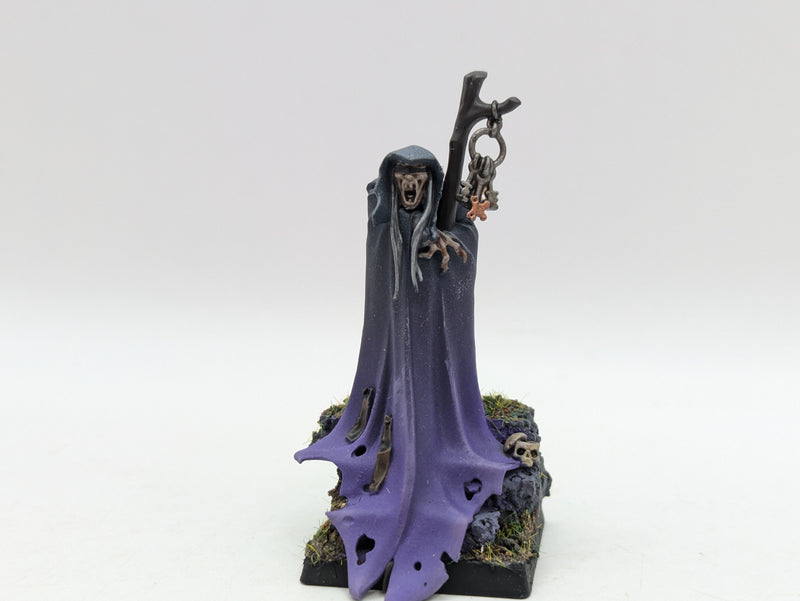 Warhammer The Old World: Vampire Counts Necromancer - Well Painted (BC081)