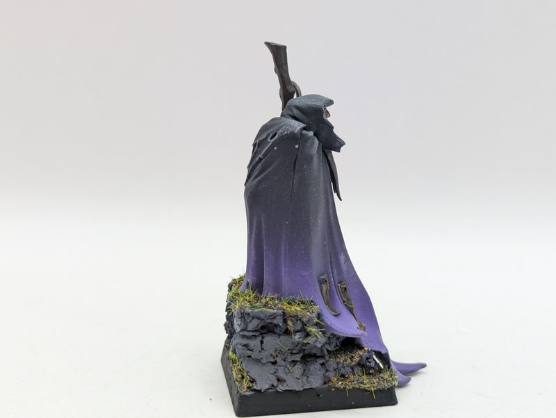 Warhammer The Old World: Vampire Counts Necromancer - Well Painted (BC081)