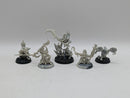 Warhammer Age of Sigmar: Gloomspite Gitz Characters (AJ129)