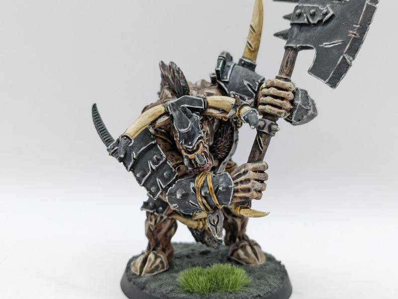 Warhammer Age of Sigmar: Beasts of Chaos Doombull - Well Painted (AZ103)