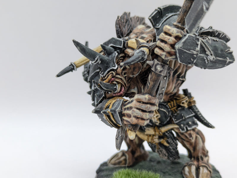 Warhammer Age of Sigmar: Beasts of Chaos Doombull - Well Painted (AZ103)