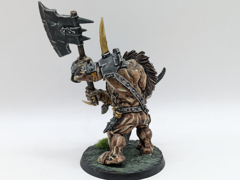 Warhammer Age of Sigmar: Beasts of Chaos Doombull - Well Painted (AZ103)