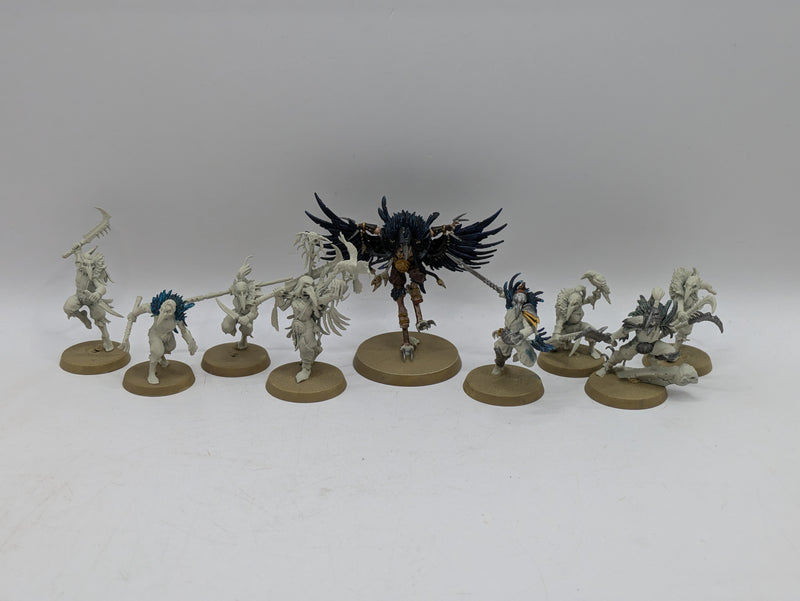 Warhammer Age of Sigmar: Warcry Corvus Cabal (AZ045)