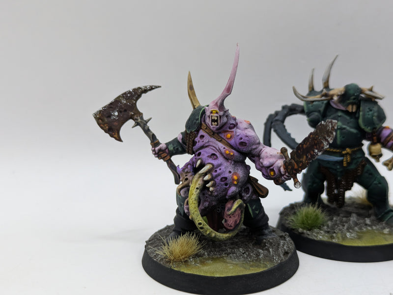 Warhammer Age of Sigmar: Maggotkin of Nurgle Putrid Blightkings - Pro Painted (AH042)