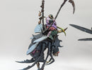 Warhammer Age of Sigmar: Maggotkin of Nurgle Pusgoyle Blightlords - Pro Painted (BF032)