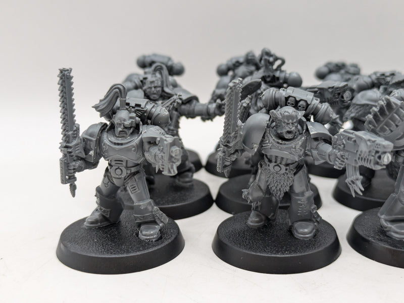 Warhammer 40k: Space Marine Space Wolves Blood Claws (AI142)