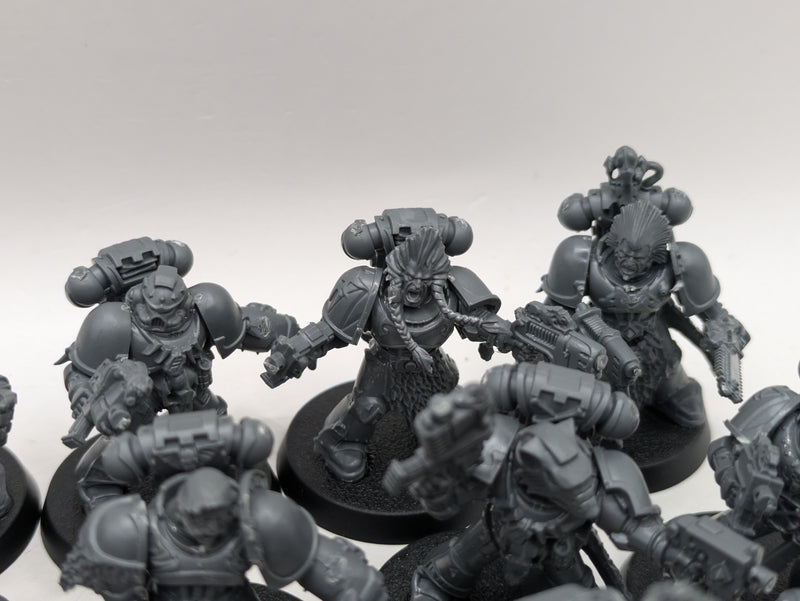 Warhammer 40k: Space Marine Space Wolves Blood Claws (AI142)