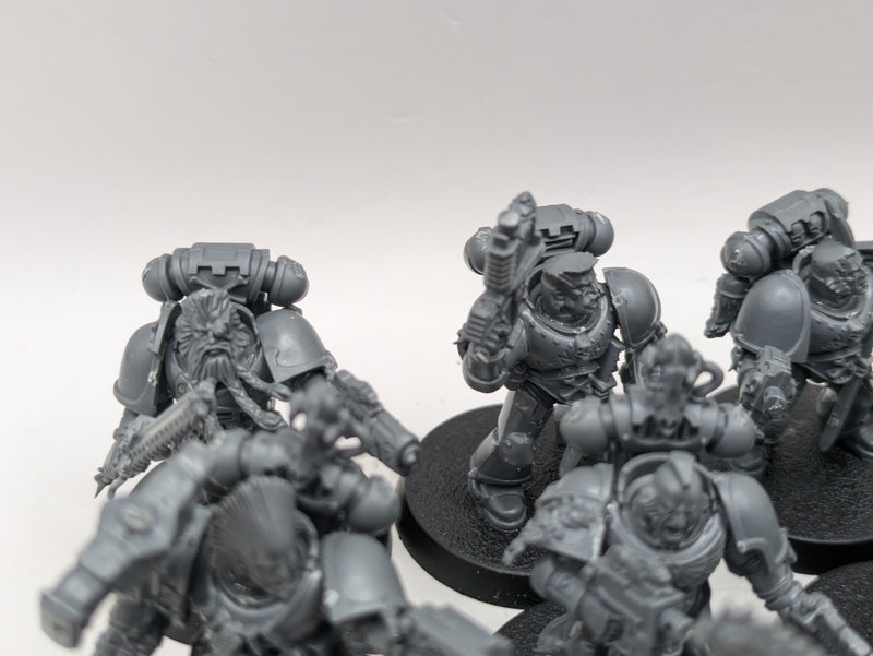 Warhammer 40k: Space Marine Space Wolves Blood Claws (AE091)