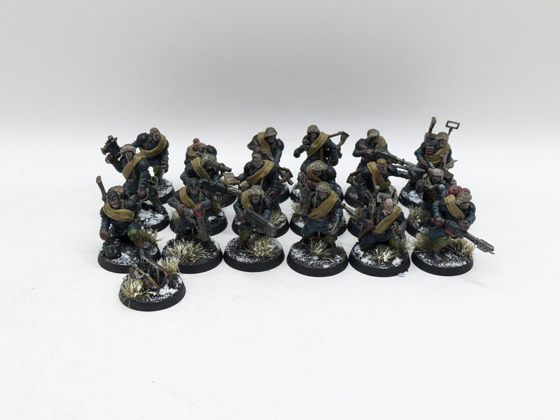 Warhammer 40k: Astra Militarum Converted Valhallan Ice Warriors (AI157)