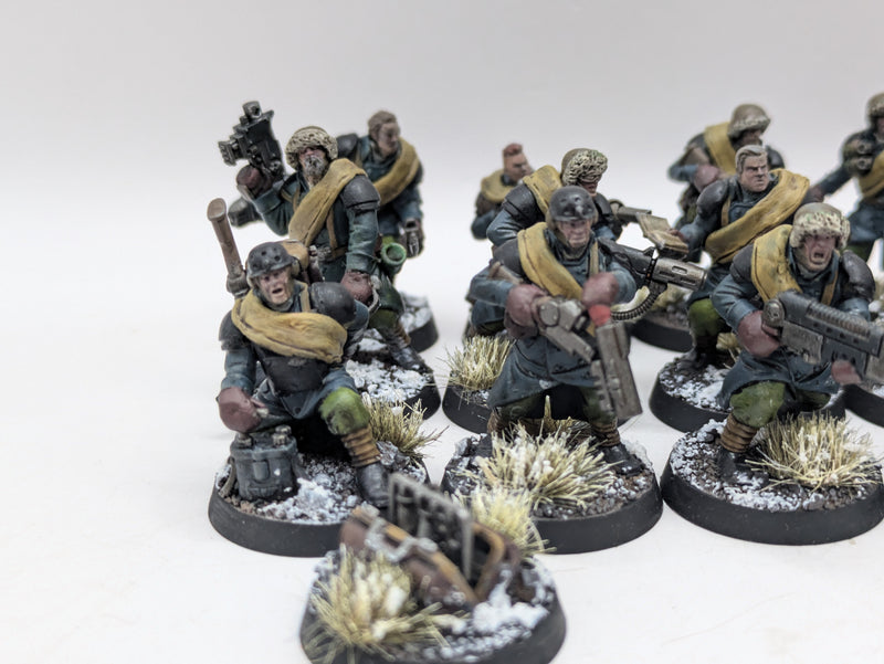 Warhammer 40k: Astra Militarum Converted Valhallan Ice Warriors (AI157)