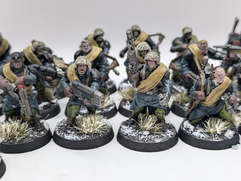 Warhammer 40k: Astra Militarum Converted Valhallan Ice Warriors (AI157)