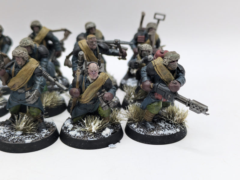 Warhammer 40k: Astra Militarum Converted Valhallan Ice Warriors (AI157)