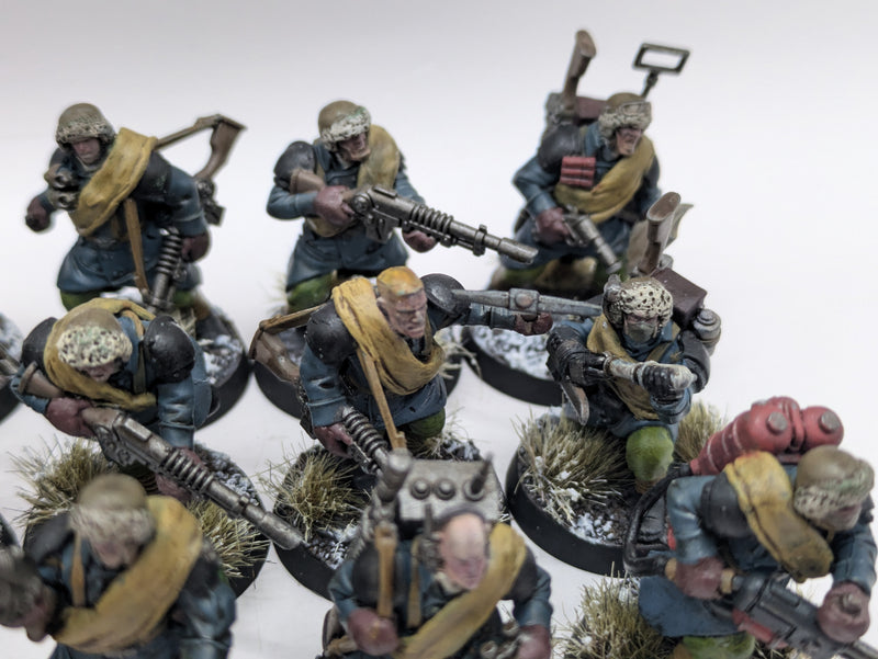 Warhammer 40k: Astra Militarum Converted Valhallan Ice Warriors (AI157)