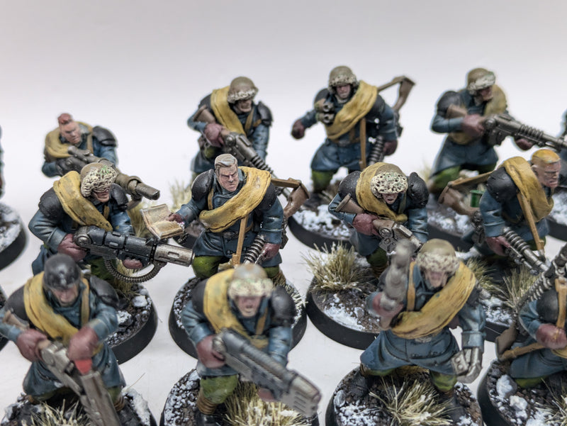 Warhammer 40k: Astra Militarum Converted Valhallan Ice Warriors (AI157)