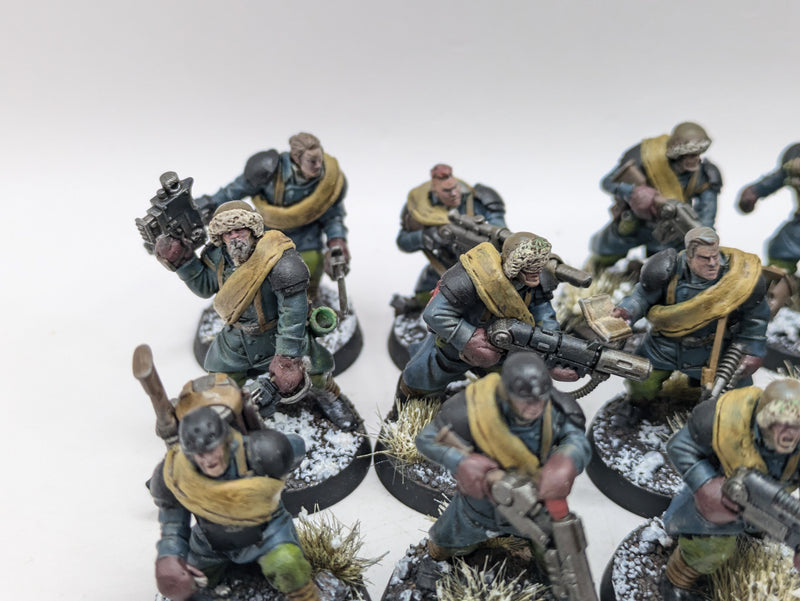 Warhammer 40k: Astra Militarum Converted Valhallan Ice Warriors (AI157)