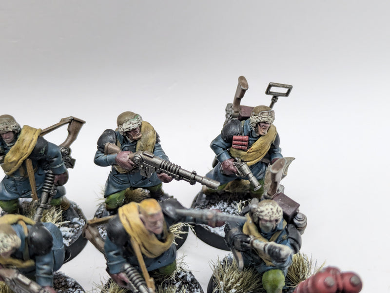 Warhammer 40k: Astra Militarum Converted Valhallan Ice Warriors (AI157)