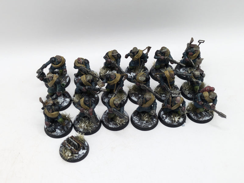 Warhammer 40k: Astra Militarum Converted Valhallan Ice Warriors (AI157)