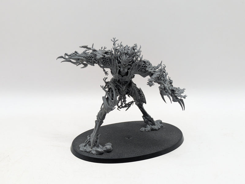 Warhammer Age of Sigmar: Sylvaneth Drycha Hamadreth (BF010)