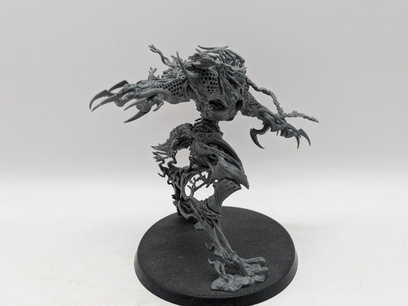 Warhammer Age of Sigmar: Sylvaneth Drycha Hamadreth (BF010)