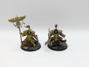Warhammer 40k: Adeptus Custodes Allarus Terminator Vexilus and Shield Captain (AP008)