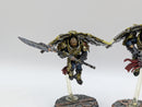 Warhammer 40k: Adeptus Custodes Venatari Squad (AI211)