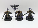 Warhammer 40k: Adeptus Custodes Allarus Terminators (BA138)