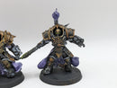 Warhammer 40k: Adeptus Custodes Allarus Terminators (BA138)