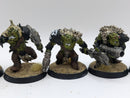 Warhammer 40k: Ork Beast Snagga Boyz (BA184)