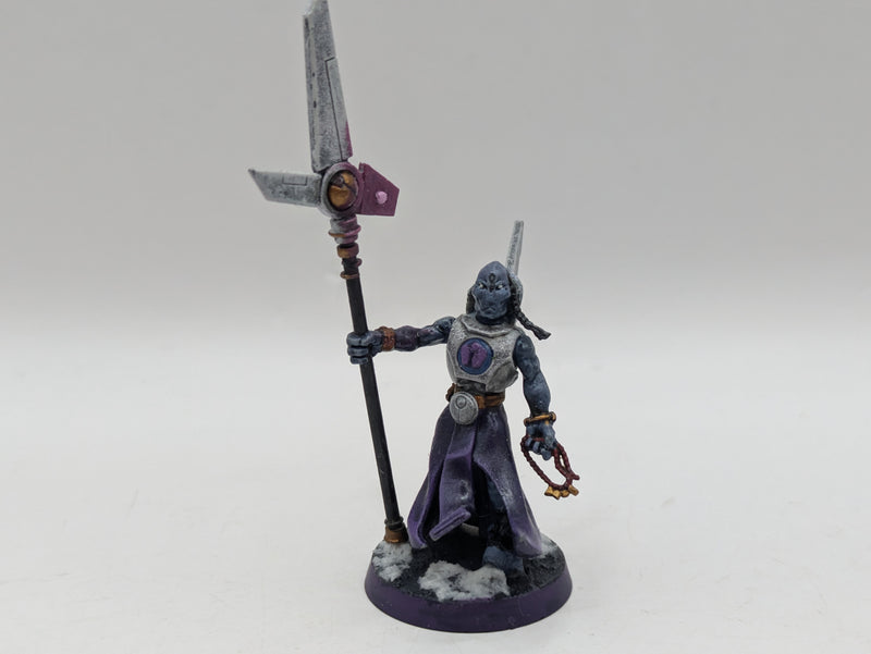 Warhammer 40k: T'au Empire Ethereal and Darkstrider (AW151)