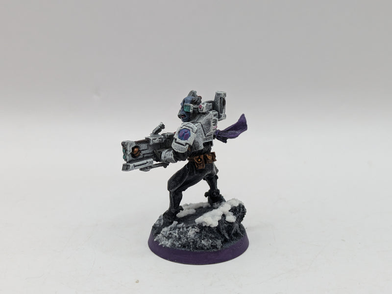 Warhammer 40k: T'au Empire Ethereal and Darkstrider (AW151)