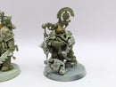 Warhammer 40k: Death Guard Nauseous Rotbone and Scribbus Wretch (AF060)