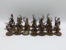 Warhammer Age of Sigmar: Sylvaneth Dryads (AF017)