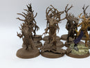Warhammer Age of Sigmar: Sylvaneth Dryads (AF017)
