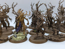 Warhammer Age of Sigmar: Sylvaneth Dryads (AF017)