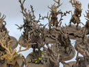 Warhammer Age of Sigmar: Sylvaneth Dryads (AF017)