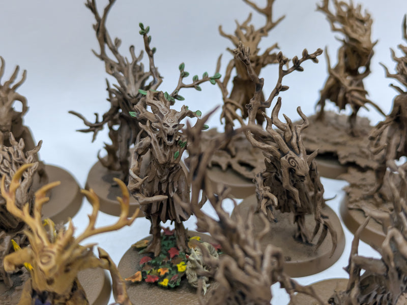 Warhammer Age of Sigmar: Sylvaneth Dryads (AF017)