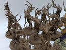 Warhammer Age of Sigmar: Sylvaneth Dryads (AF017)