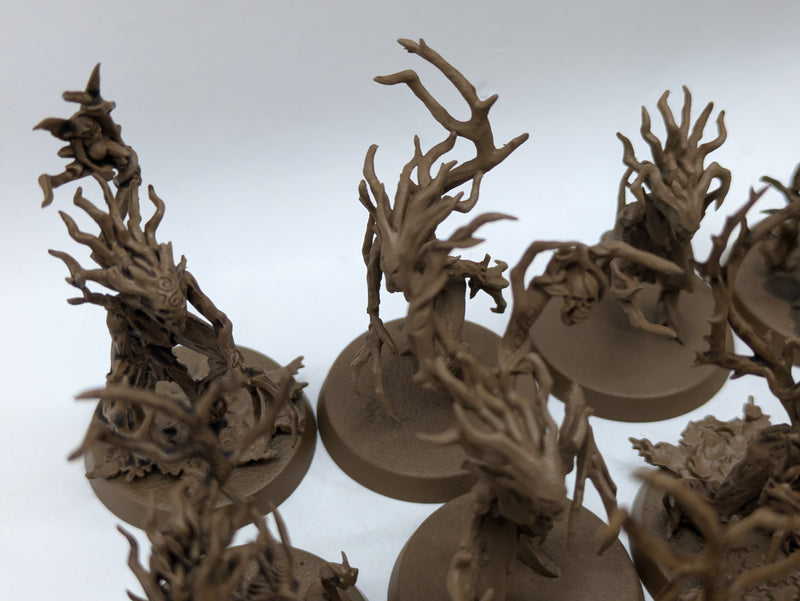 Warhammer Age of Sigmar: Sylvaneth Dryads (AF017)