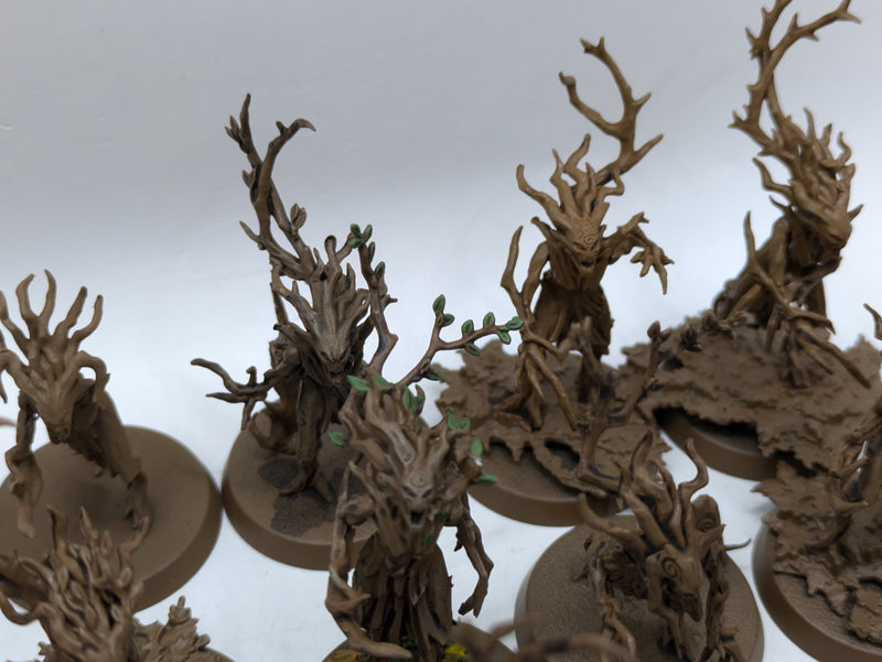 Warhammer Age of Sigmar: Sylvaneth Dryads (AF017)