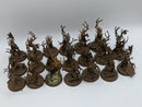 Warhammer Age of Sigmar: Sylvaneth Dryads (AF017)