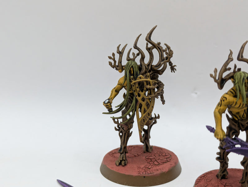 Warhammer Age of Sigmar: Sylvaneth Spite-Revenant (AI187)