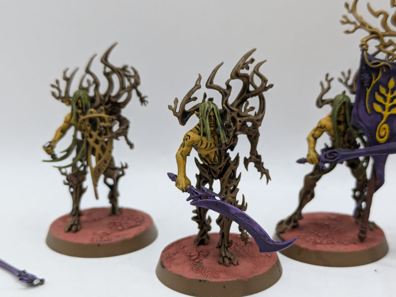 Warhammer Age of Sigmar: Sylvaneth Spite-Revenant (AI187)