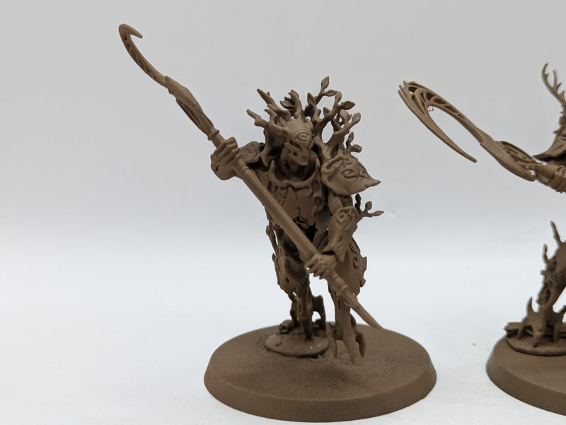 Warhammer Age of Sigmar: Sylvaneth Kurnoth Hunters (AW184)